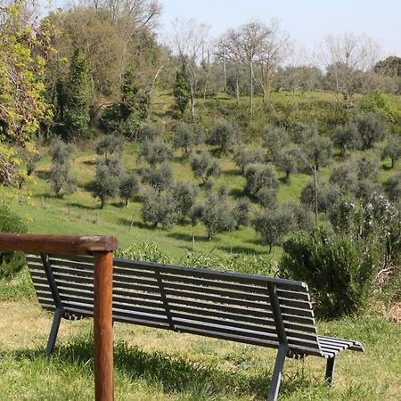 Fattoria San Donato Villa San Gimignano Kültér fotó